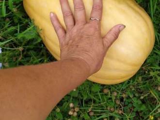 Big thumb d1305d7d